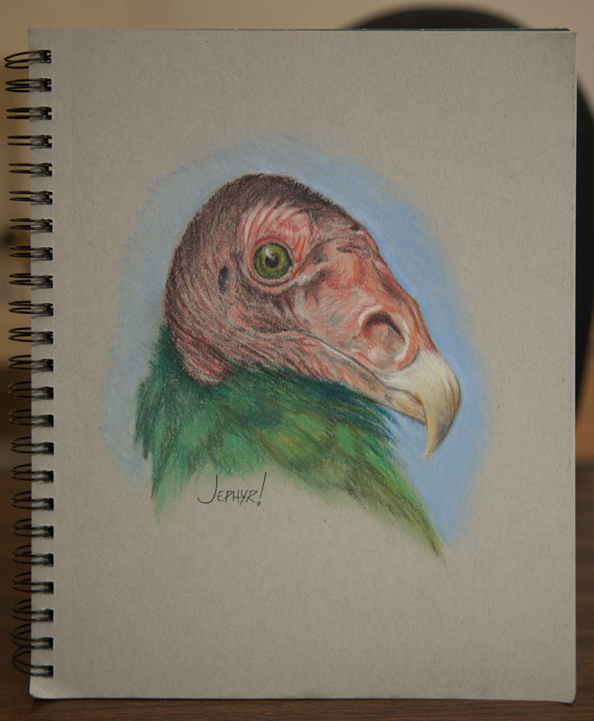 "So Ugly It's Beautiful" - Pastel Pencil Drawing - Copyright 2019, Jephyr (Jeff Curtis), All Rights Reserved